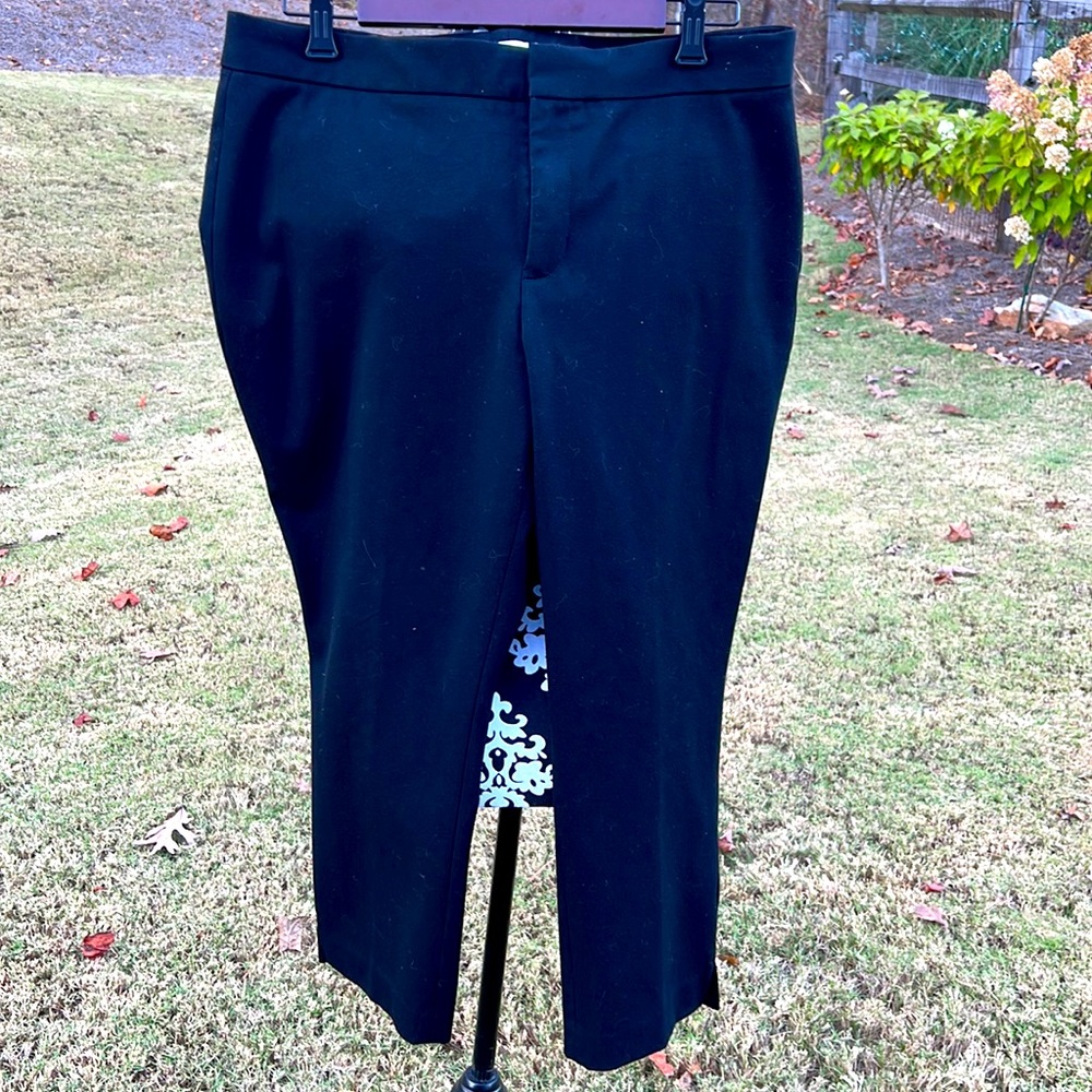 Cold water creek natural fit petite black pants